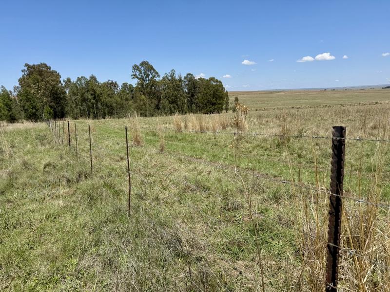 0 Bedroom Property for Sale in Tweeling Free State